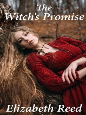 cover image of The Witch's Promise